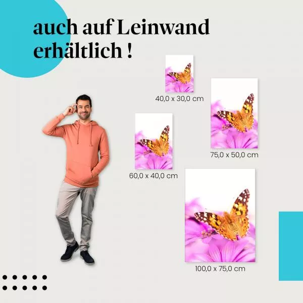 Farbenpracht: Schmetterling & Blüte | Postereck 1299 Farbenpracht: Schmetterling & Blüte | Postereck 1299