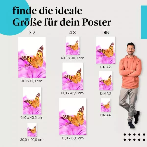 Farbenpracht: Schmetterling & Blüte | Postereck 1299 Farbenpracht: Schmetterling & Blüte | Postereck 1299