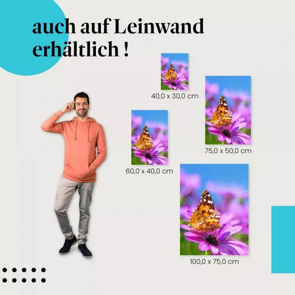 Schmetterling: Lila Blume & Sommer | Postereck 1465 Schmetterling: Lila Blume & Sommer | Postereck 1465