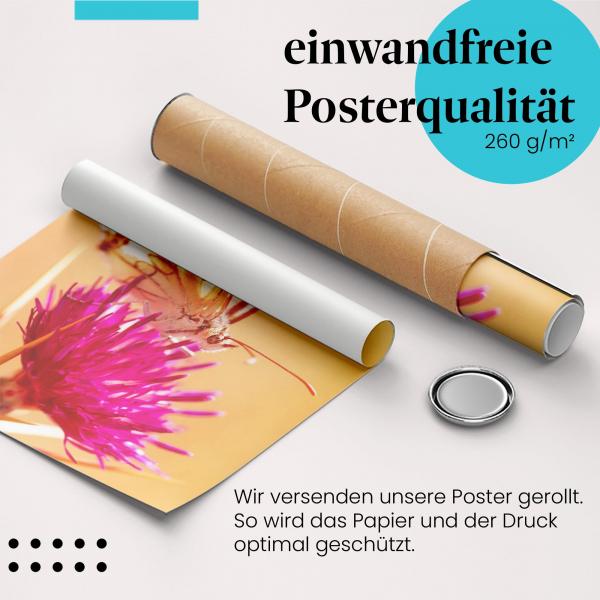 "Schmetterling": Gerolltes Poster, lila Blüte, Farben.