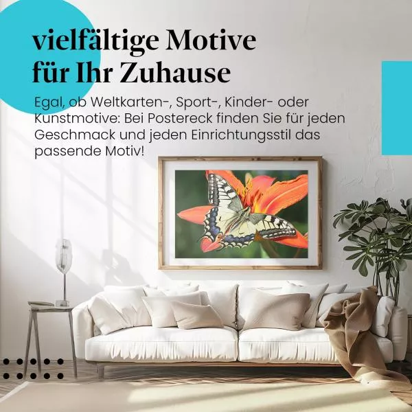 Schmetterling auf Lilie | Postereck 2655 Schmetterling auf Lilie | Postereck 2655