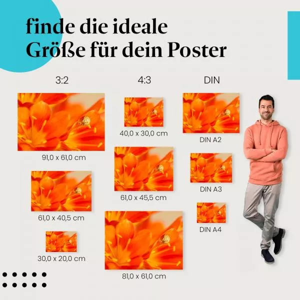 Schnecke: Orange Blume | Postereck 1417 Schnecke: Orange Blume | Postereck 1417