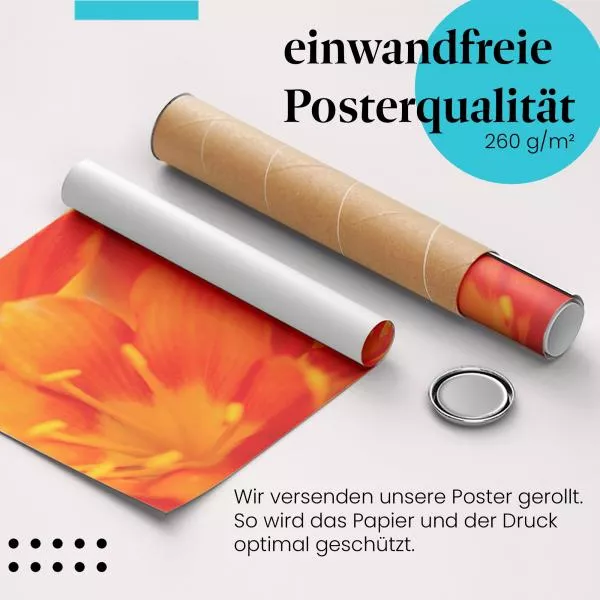 Schnecke: Orange Blume | Postereck 1417 Schnecke: Orange Blume | Postereck 1417