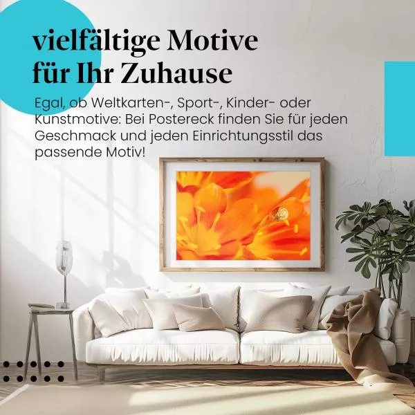Schnecke: Orange Blume | Postereck 1417 Schnecke: Orange Blume | Postereck 1417
