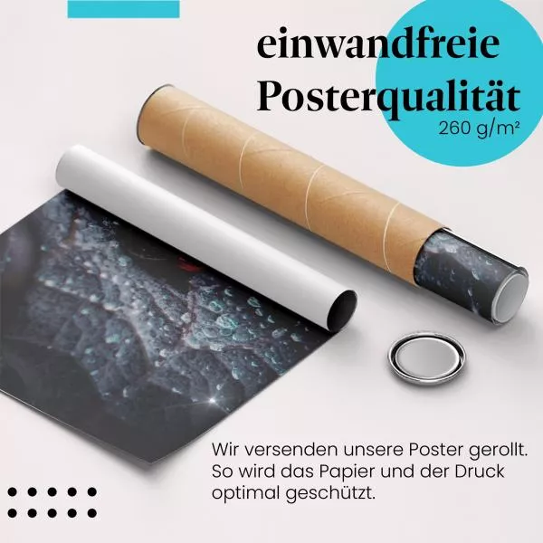 Schneckenhaus Makro | Postereck 2961 Schneckenhaus Makro | Postereck 2961