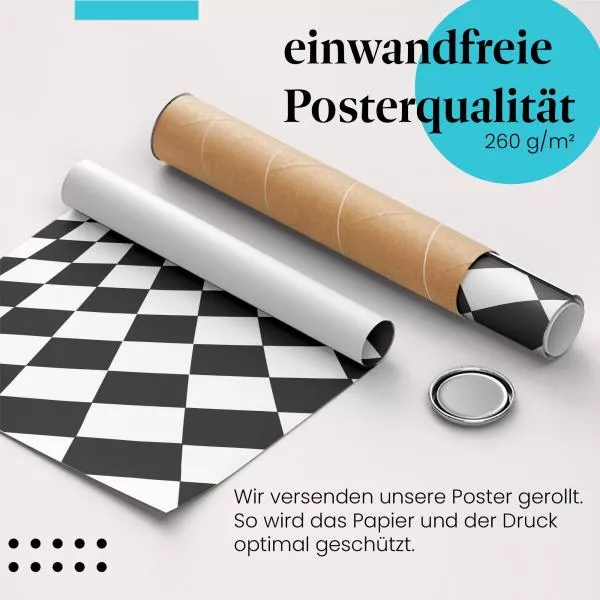 Optische Illusion | Postereck 0968