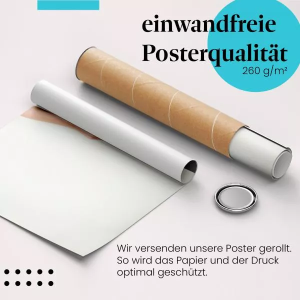Spitzenstrümpfe | Postereck 3727 Spitzenstrümpfe | Postereck 3727