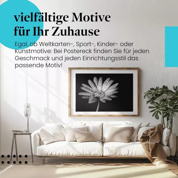 Blume mit Tautropfen | Postereck 2180
