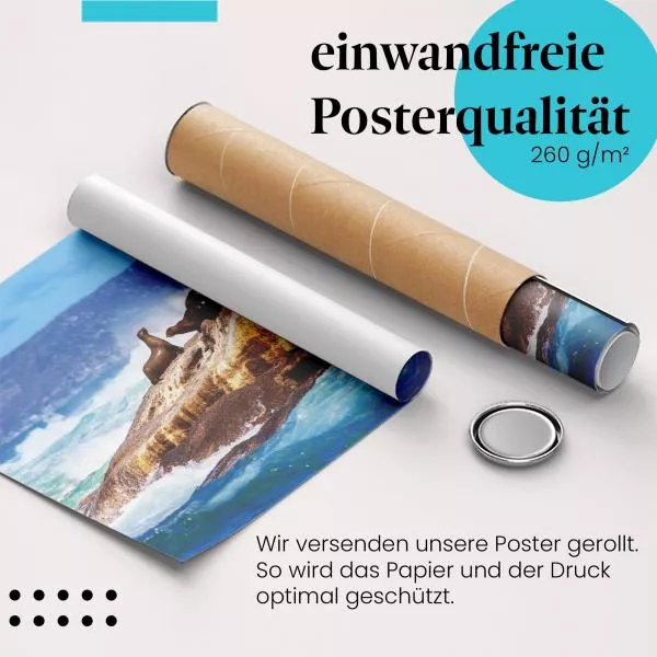Seelöwenkolonie: Felsen im Meer | Postereck 1467 Seelöwenkolonie: Felsen im Meer | Postereck 1467