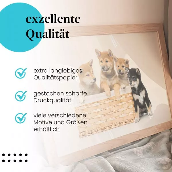 Shiba Inu Welpen | Postereck 4075 Shiba Inu Welpen | Postereck 4075