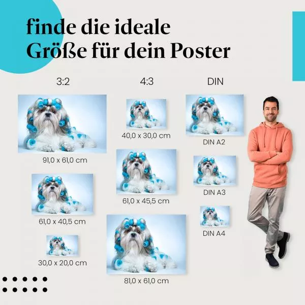 Shih Tzu: Beautytag mit Lockenwicklern | Postereck 0524 Shih Tzu: Beautytag mit Lockenwicklern | Postereck 0524