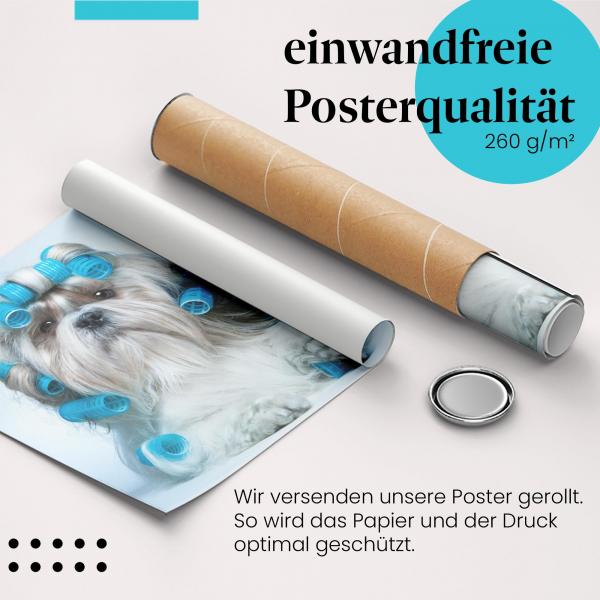 "Shih Tzu": Gerolltes Poster, Lockenwickler, Beautytag.