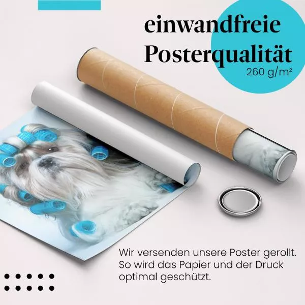 Shih Tzu: Beautytag mit Lockenwicklern | Postereck 0524 Shih Tzu: Beautytag mit Lockenwicklern | Postereck 0524
