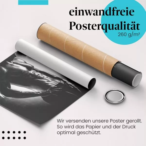 Sixpack | Postereck 3174 Sixpack | Postereck 3174