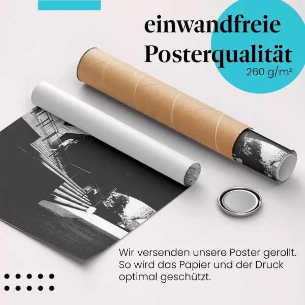 Adrenalin & Style: Skater meistert Treppensprung | Postereck 0174 Adrenalin & Style: Skater meistert Treppensprung | Postereck 0174
