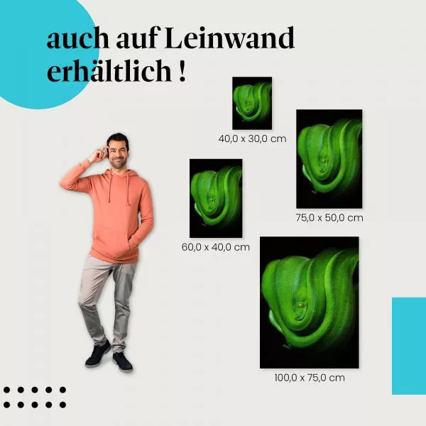 Smaragdgrüne Schlange | Postereck 2651 Smaragdgrüne Schlange | Postereck 2651