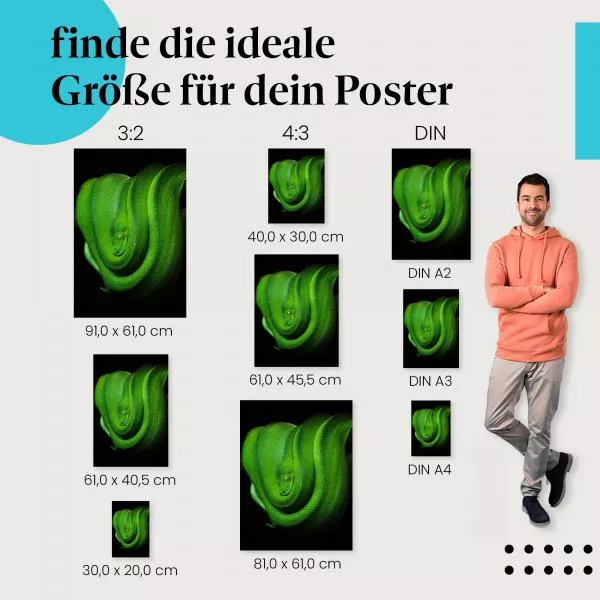 Smaragdgrüne Schlange | Postereck 2651 Smaragdgrüne Schlange | Postereck 2651