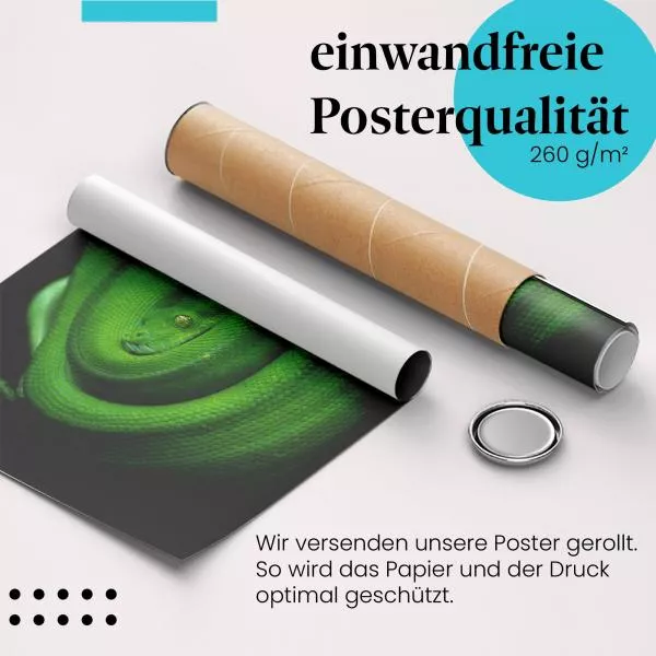Smaragdgrüne Schlange | Postereck 2651 Smaragdgrüne Schlange | Postereck 2651