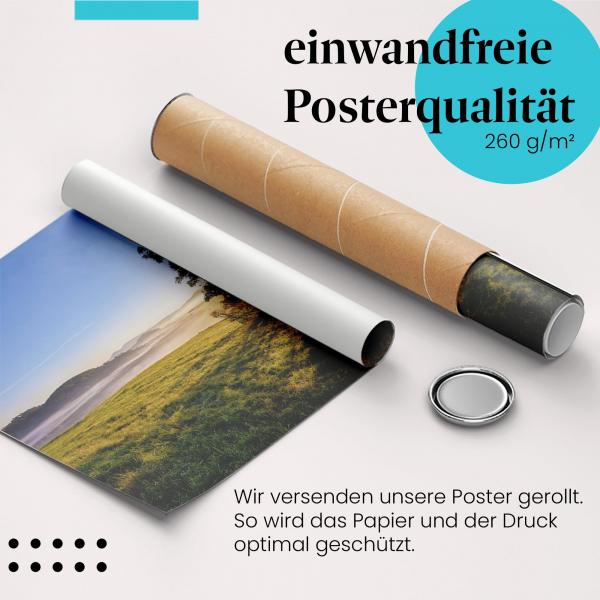 Gerolltes Poster "Sonnenlicht & Wald". Wald & Stimmung, sicher verpackt.