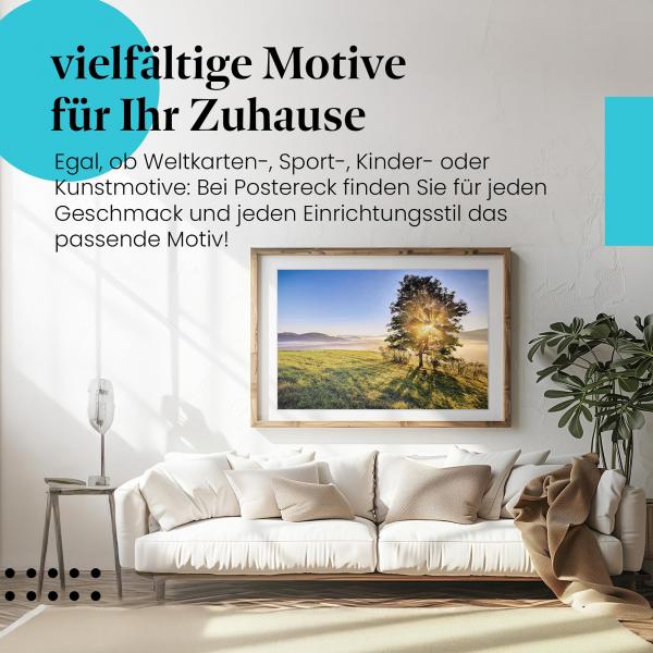 Leinwandbild "Sonnenaufgang": Baum, Äste, magisches Licht.