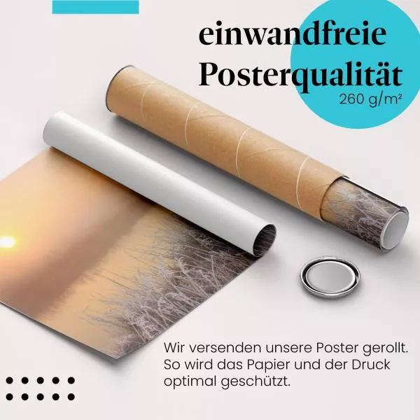 Sonnenaufgang: Nebel | Postereck 1763 Sonnenaufgang: Nebel | Postereck 1763