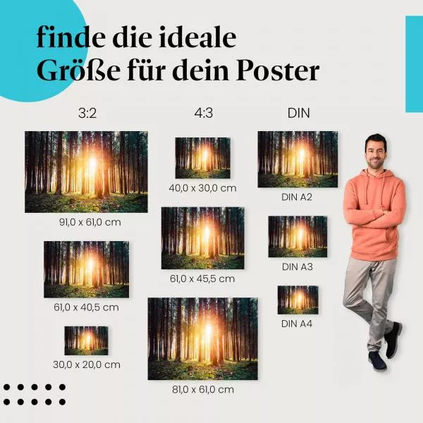 Sonnenlicht im Wald | Postereck 3873 Sonnenlicht im Wald | Postereck 3873