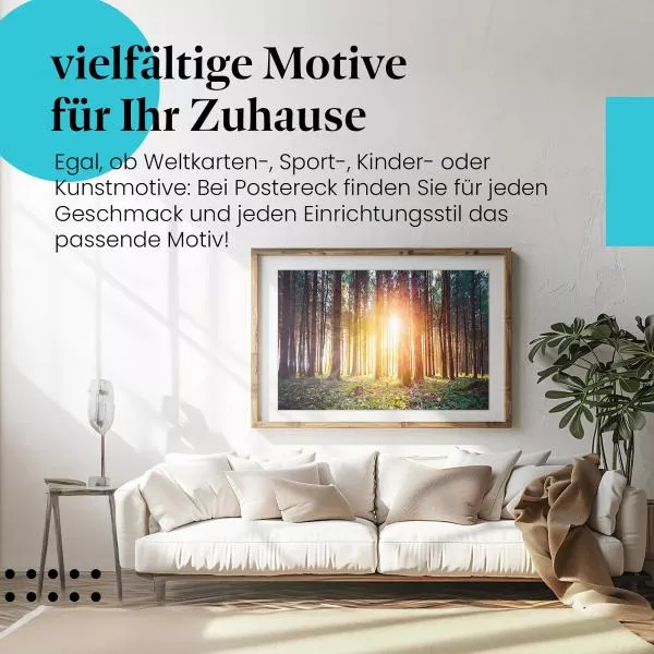 Sonnenlicht im Wald | Postereck 3873 Sonnenlicht im Wald | Postereck 3873