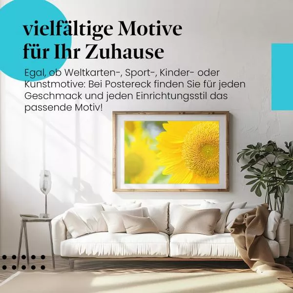 Sonnenblume in voller Pracht | Postereck 2656 Sonnenblume in voller Pracht | Postereck 2656