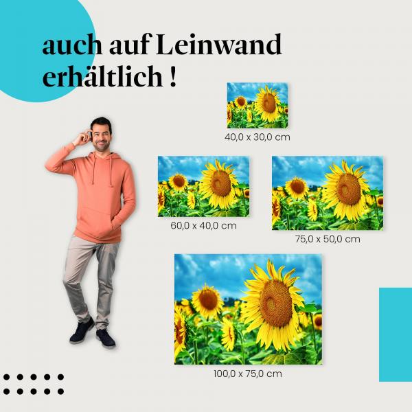 Leinwandbild "Strahlendes Sonnenblumenfeld": Natur & Lebensfreude