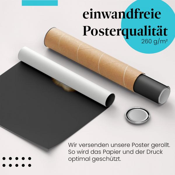 Gerolltes Poster "Sonnenfinsternis". Astronomie, sicher verpackt.