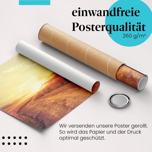 Gerolltes Poster "Kosmosblüten". Sommerliche Landschaft, sicher verpackt.