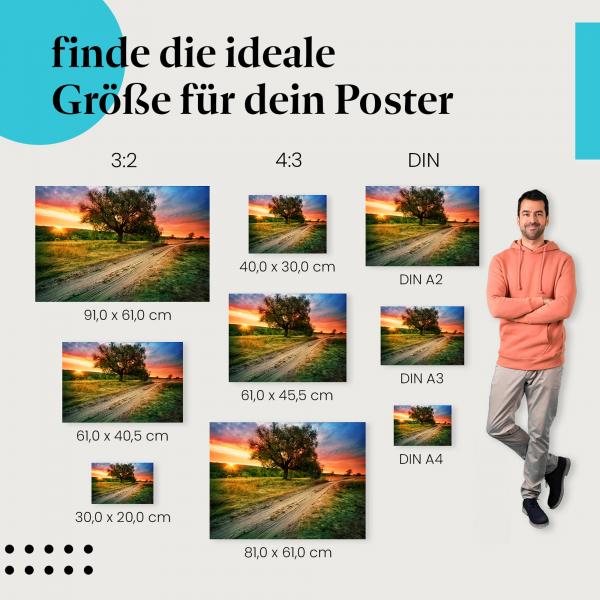 Landschaft, Poster: Feldweg, grün, Sonnenuntergang, Baum.