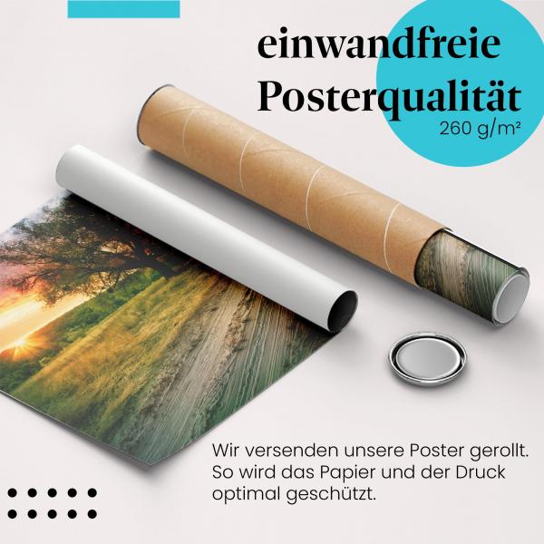 Gerolltes Poster "Feldweg & Sonnenuntergang". Ländliche Idylle, sicher verpackt.