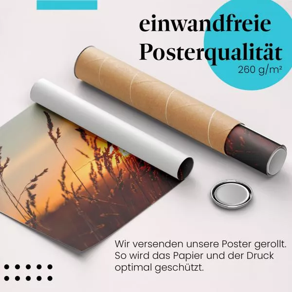 Sonnenuntergang im Gras | Postereck 4121 Sonnenuntergang im Gras | Postereck 4121