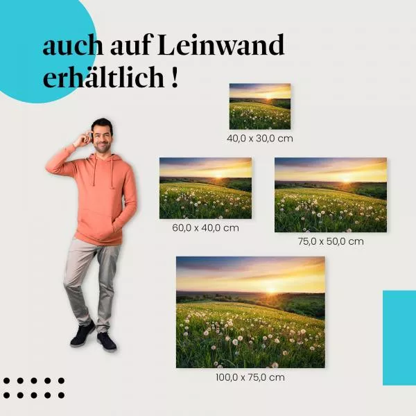 Löwenzahnwiese | Postereck 3768 Löwenzahnwiese | Postereck 3768
