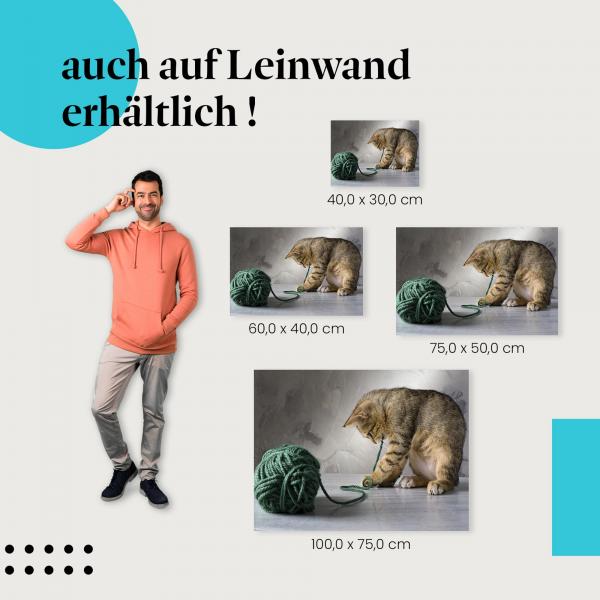 "Kätzchen" Leinwandbild. Verschiedene Größen - setze stilvolle Akzente mit Kunst in deinem Zuhause!