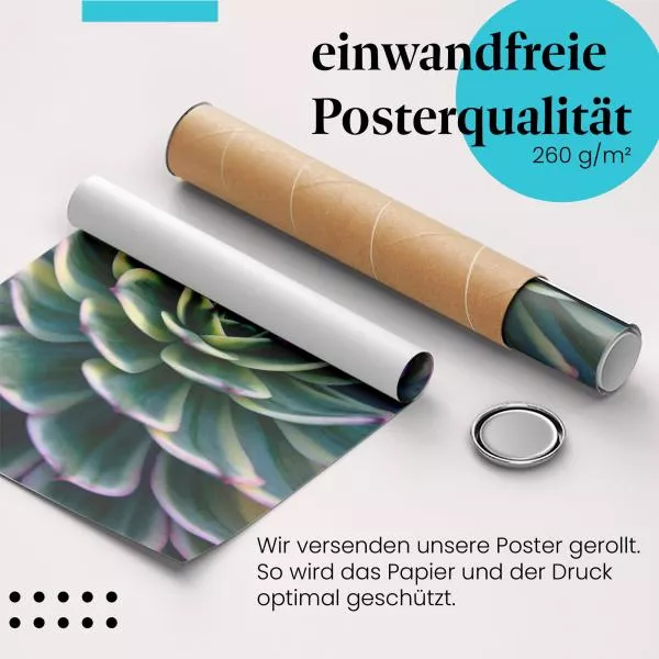 Sukkulenten Makro | Postereck 3041 Sukkulenten Makro | Postereck 3041