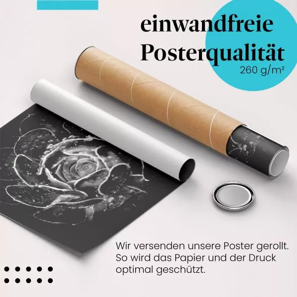 Sukkulente: Schwarz-Weiß Makro | Postereck 1141 Sukkulente: Schwarz-Weiß Makro | Postereck 1141