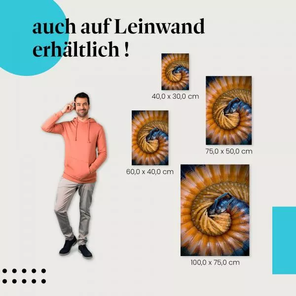 Tausendfüßer Makro | Postereck 2583 Tausendfüßer Makro | Postereck 2583