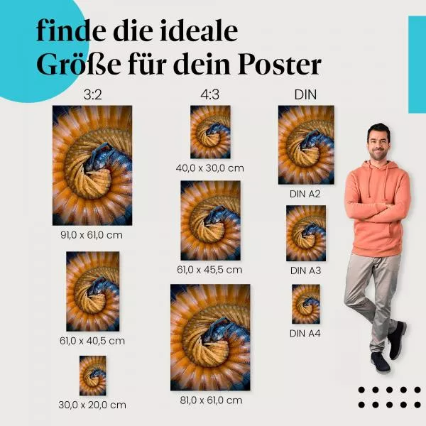Tausendfüßer Makro | Postereck 2583 Tausendfüßer Makro | Postereck 2583