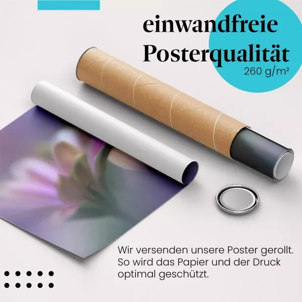 Tautropfen-Makro | Postereck 2978