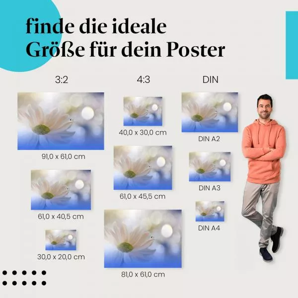 Tautropfen | Postereck 3835 Tautropfen | Postereck 3835