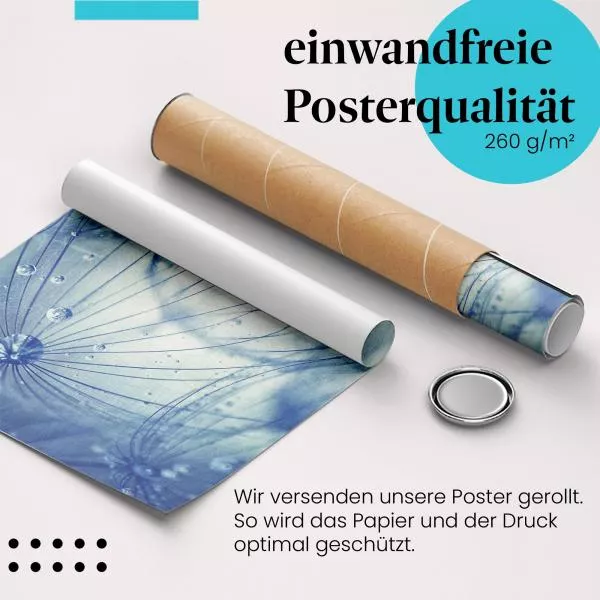 Magie der Natur: Tautropfen | Postereck 1320 Magie der Natur: Tautropfen | Postereck 1320