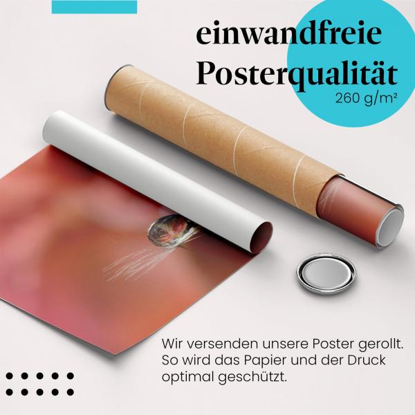 Gerolltes Poster "Pusteblumen & Tautropfen". Frühling & Romantik, sicher verpackt.