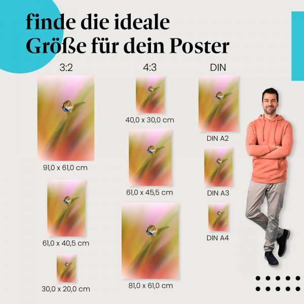 Tautropfen, Poster: Sonnenaufgang, Farbenspiel.