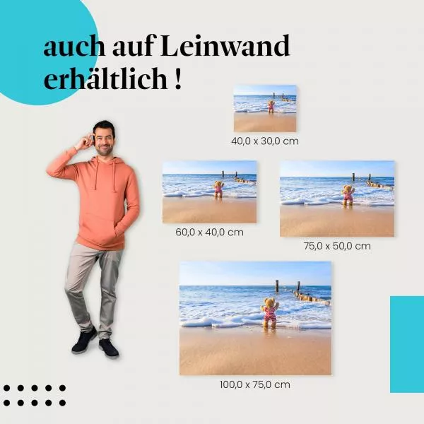 Teddy am Strand | Postereck 3854 Teddy am Strand | Postereck 3854