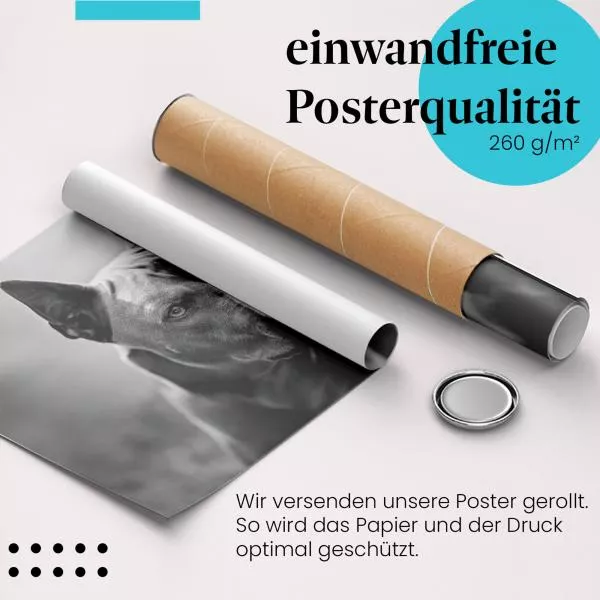 Thai Ridgeback | Postereck 4079 Thai Ridgeback | Postereck 4079
