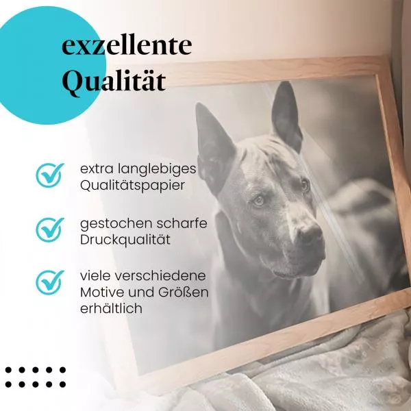 Thai Ridgeback | Postereck 4079 Thai Ridgeback | Postereck 4079