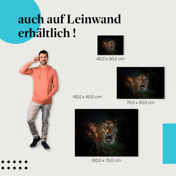 Tiger: Leinwandbild. Dunkelheit, leuchtende Augen.