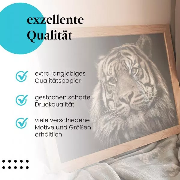 Tigerblick | Postereck 2211 Tigerblick | Postereck 2211